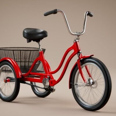 3 Wheel Bike